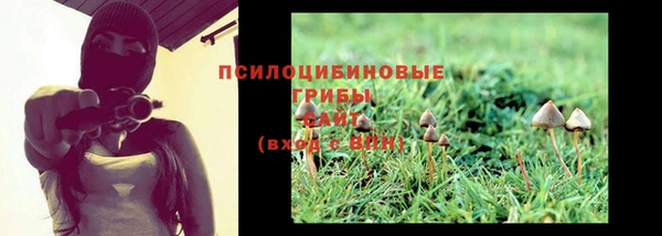 каннабис Каменногорск