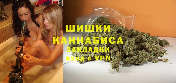 трава Инсар