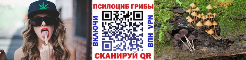 Псилоцибиновые грибы Cubensis  Купить закладки  Питкяранта 